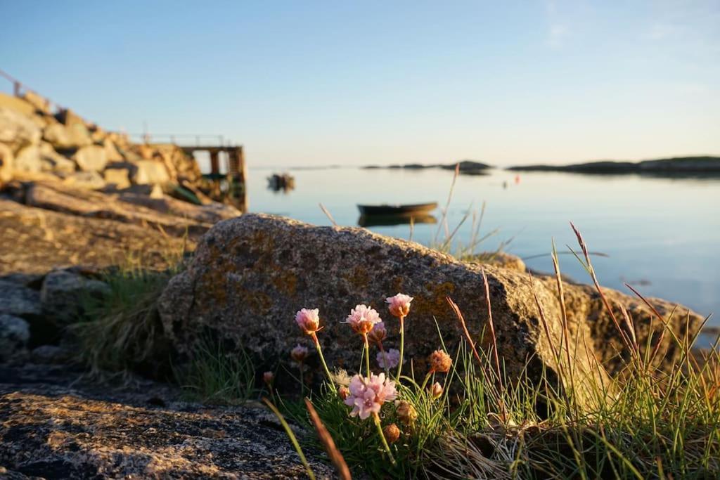 Sjarmerende Hus Med Orkesterplass Til Hav Og Fjell Stave Bagian luar foto